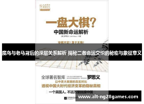 魔鸟与老马背后的深层关系解析 揭秘二者命运交织的秘密与象征意义